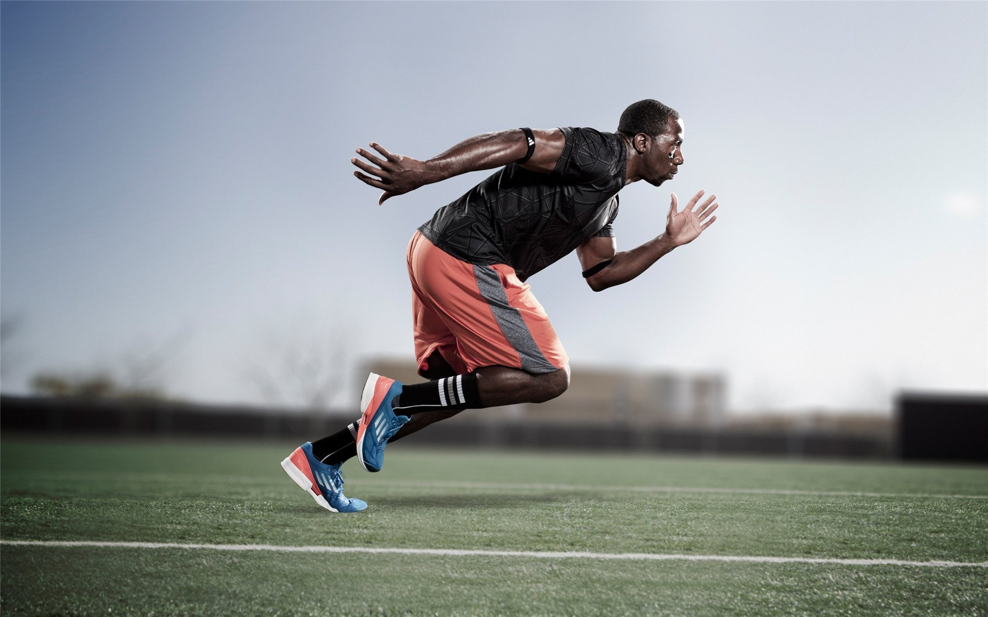 赛道与球场的双城记，当F1引擎轰鸣遇见猛龙咆哮